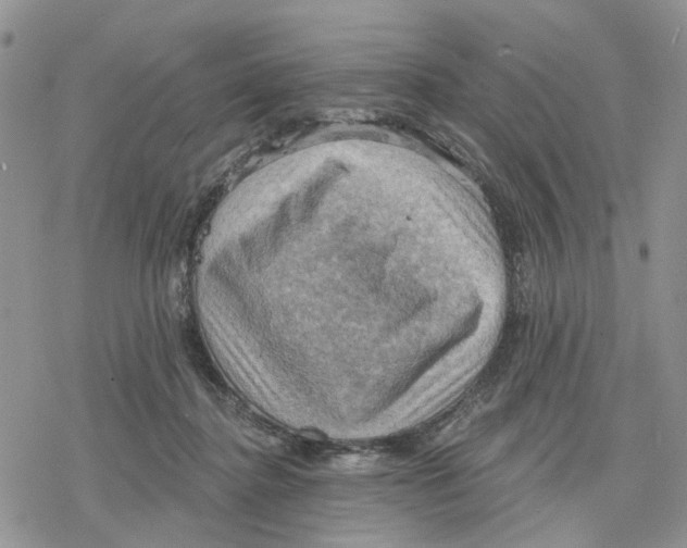 X0000078230364200611251220