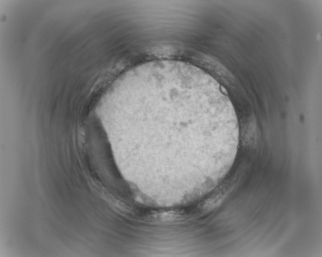 X0000078230365200611251220