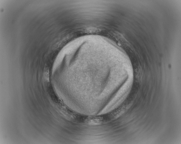 X0000078230368200611251220