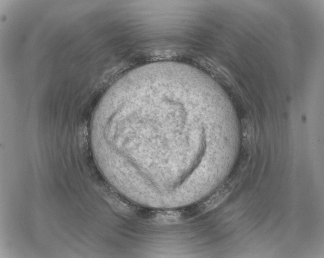 X0000078230369200611251220