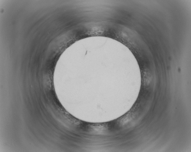 X0000078230370200611251220