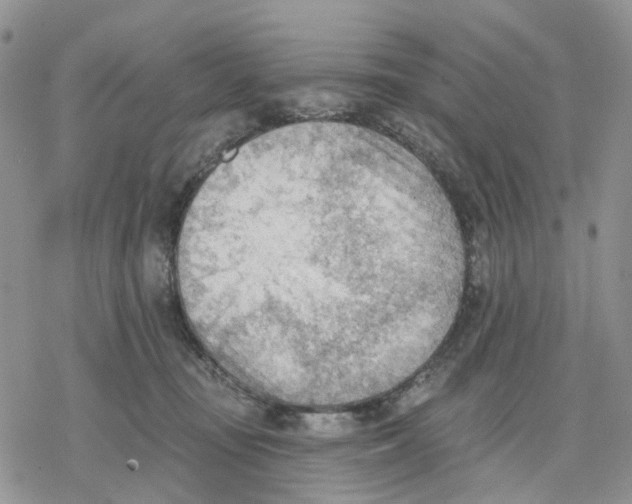 X0000078230371200611251220