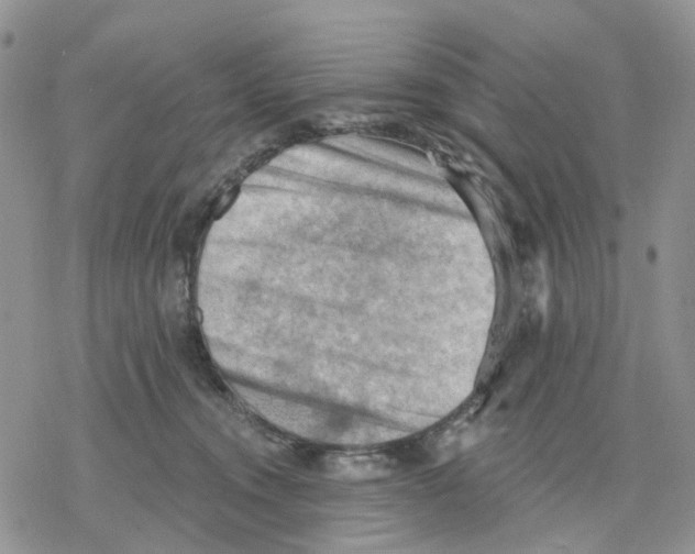 X0000078230372200611251220