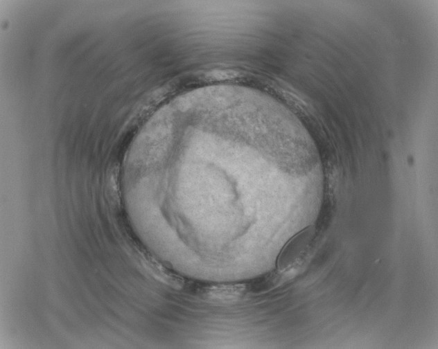 X0000078230373200611251220