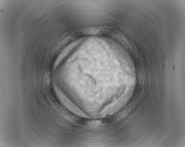 X0000078230374200611251220