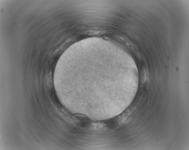 X0000078230376200611251220