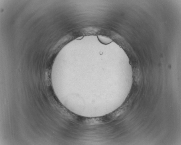 X0000078230378200611251220