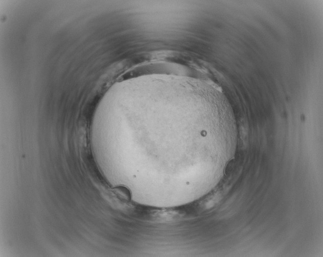 X0000078230379200611251220