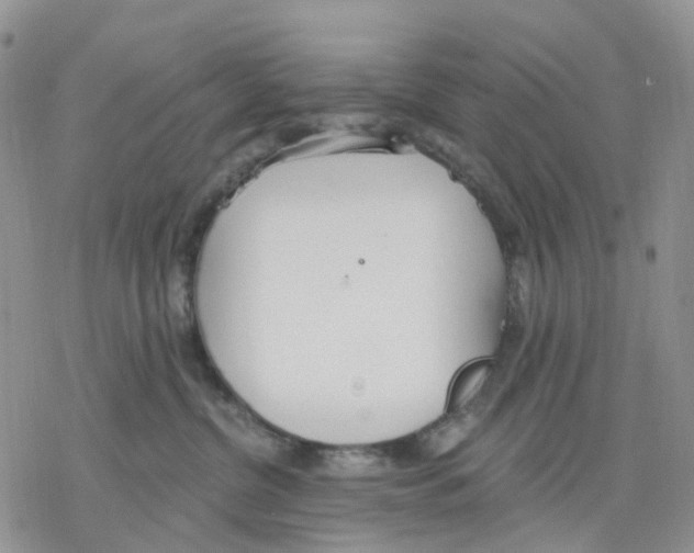 X0000078230380200611251220