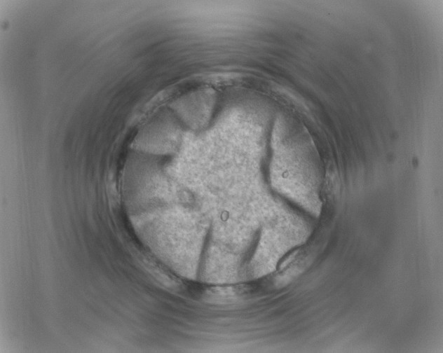 X0000078230381200611251220