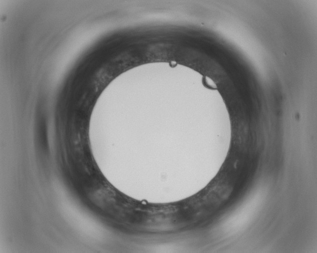 X0000078230382200611251220