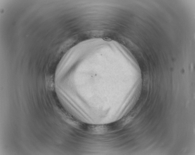 X0000078230383200611251220