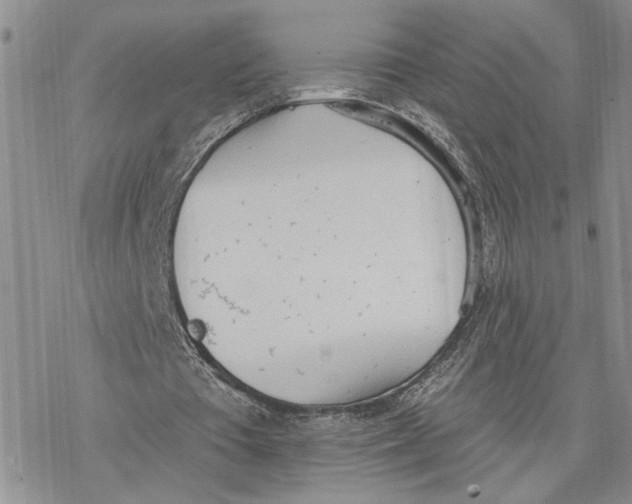 X0000078230385200611251219