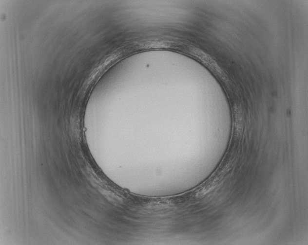 X0000078230386200611251219