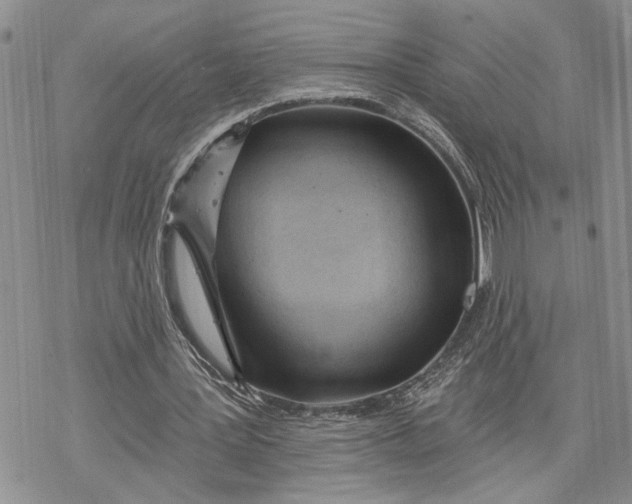 X0000078230387200611251219