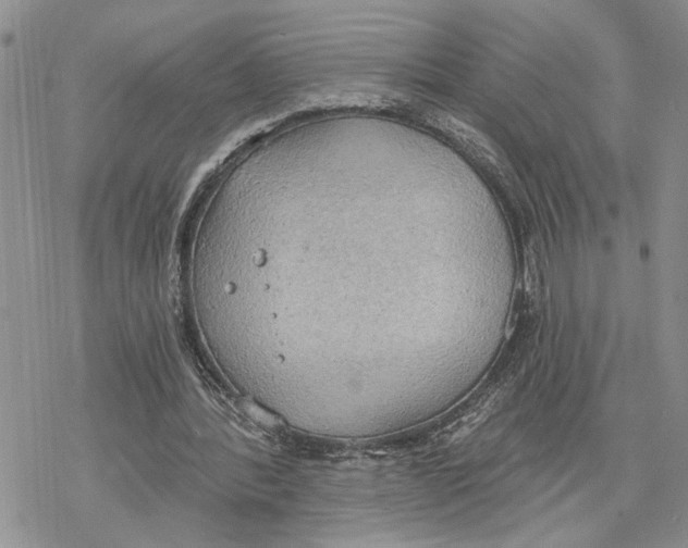 X0000078230388200611251219