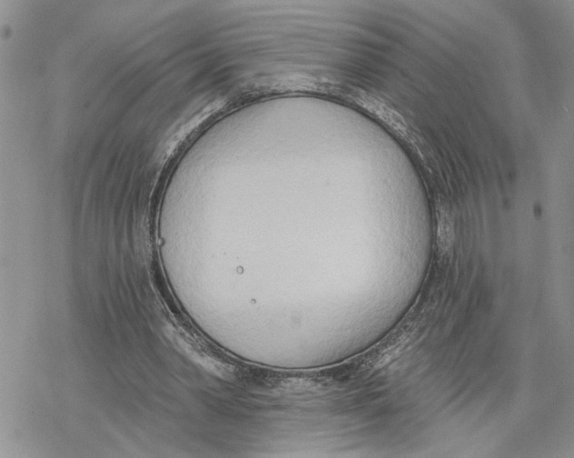 X0000078230390200611251219