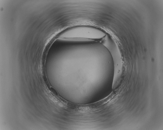 X0000078230391200611251219