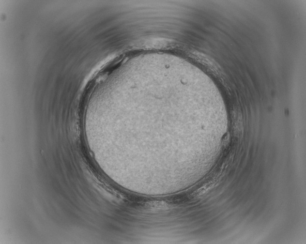 X0000078230392200611251219