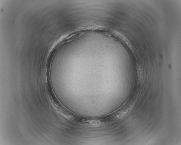 X0000078230395200611251219