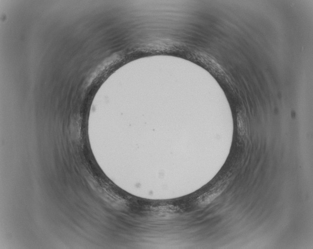 X0000078230396200611251219