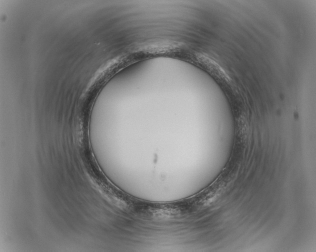 X0000078230400200611251219