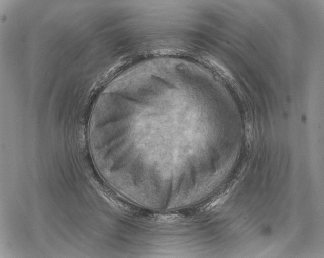 X0000078230401200611251219