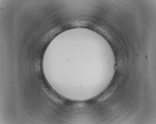 X0000078230402200611251219