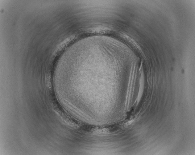 X0000078230403200611251219