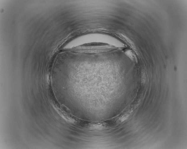 X0000078230405200611251219