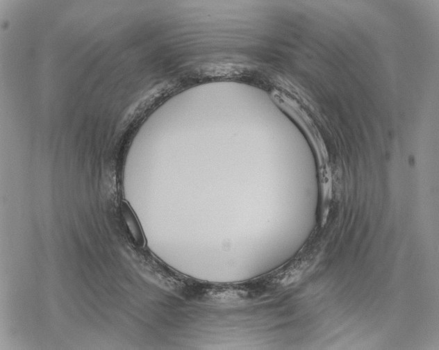 X0000078230407200611251219