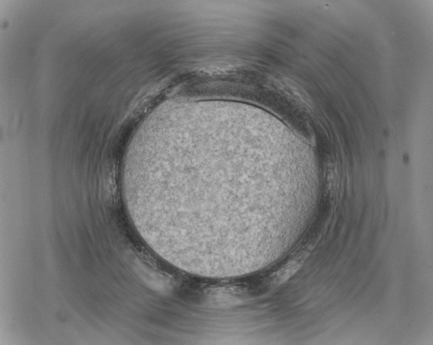 X0000078230408200611251219