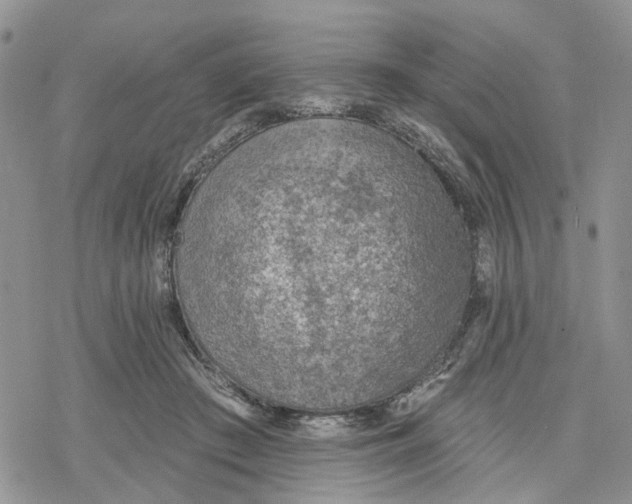 X0000078230409200611251219