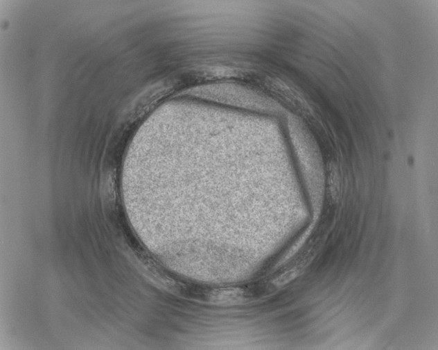 X0000078230410200611251219