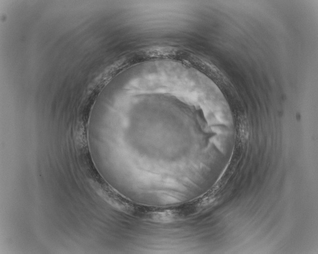 X0000078230411200611251219