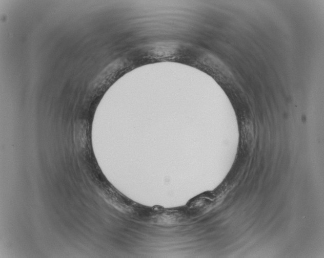 X0000078230412200611251219