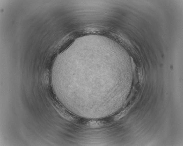 X0000078230413200611251219