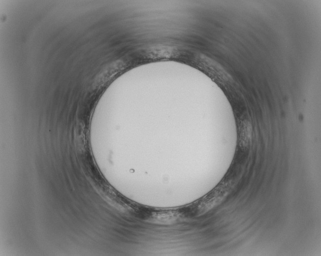 X0000078230414200611251219