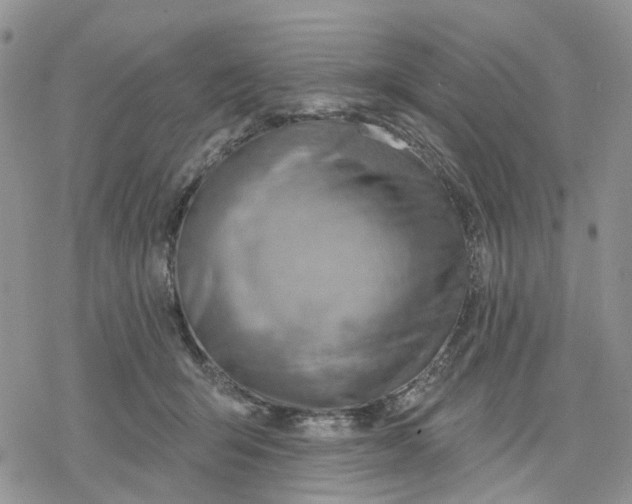 X0000078230415200611251219