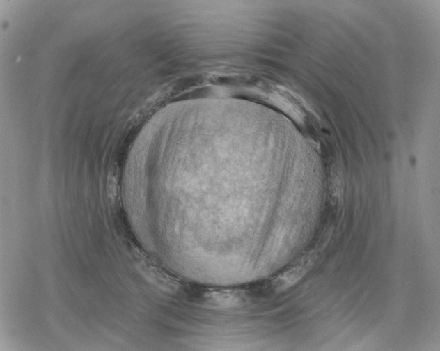 X0000078230417200611251219