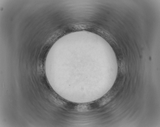 X0000078230418200611251219