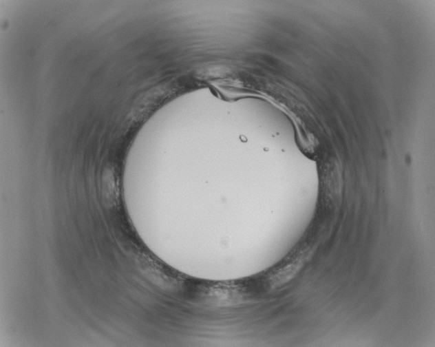 X0000078230420200611251219