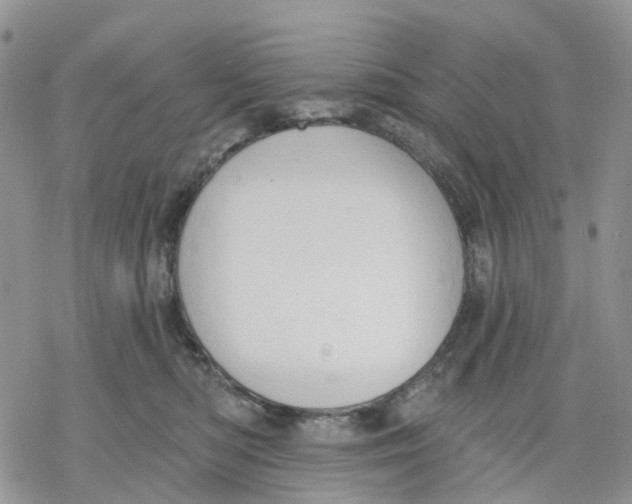 X0000078230422200611251219