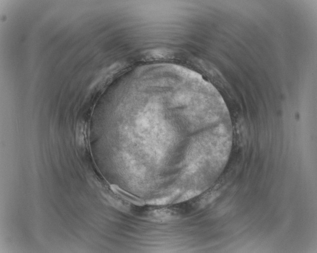 X0000078230423200611251219