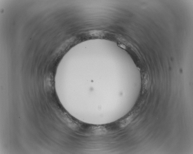 X0000078230424200611251219