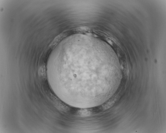 X0000078230425200611251219