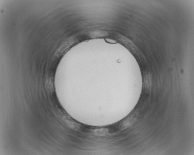 X0000078230426200611251219