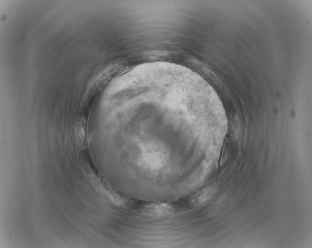 X0000078230427200611251219