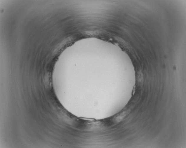 X0000078230428200611251219