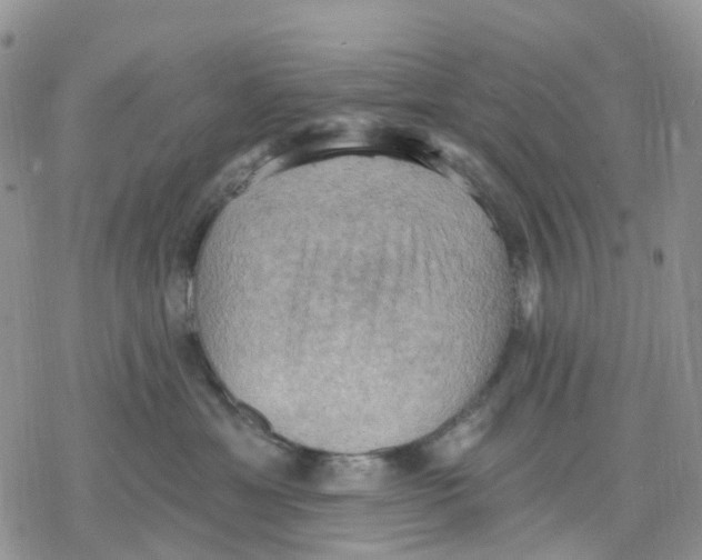 X0000078230429200611251219